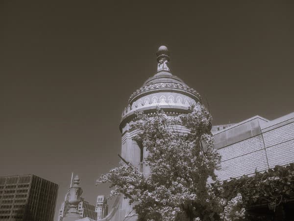 A scenic view of a dome with cherry blossoms in from of it
